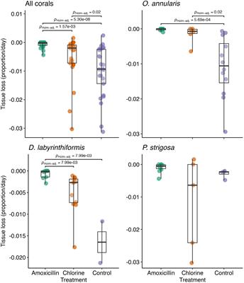 The relative effectiveness of chlorine and antibiotic treatments for stony coral tissue loss disease